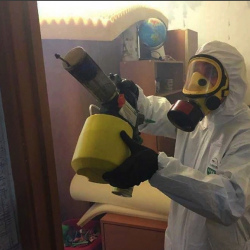 Уничтожение клопов в квартире. Лермонтовский проспект