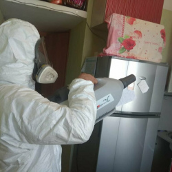 Уничтожение насекомых в квартире. Лермонтовский проспект